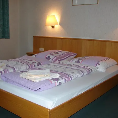 Hotel-restaurant-adler 3* רייכנבאך אים פוגטלנד