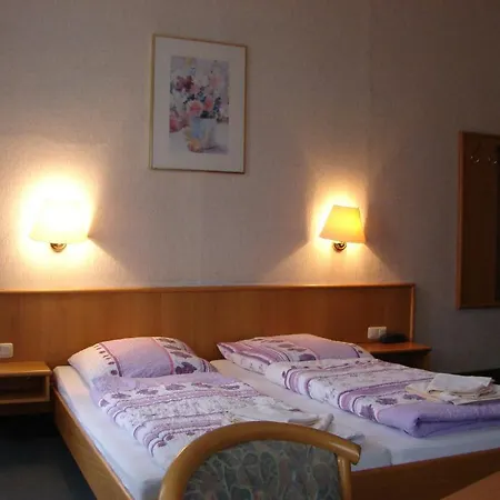 Hotel-restaurant-adler מלון 3*